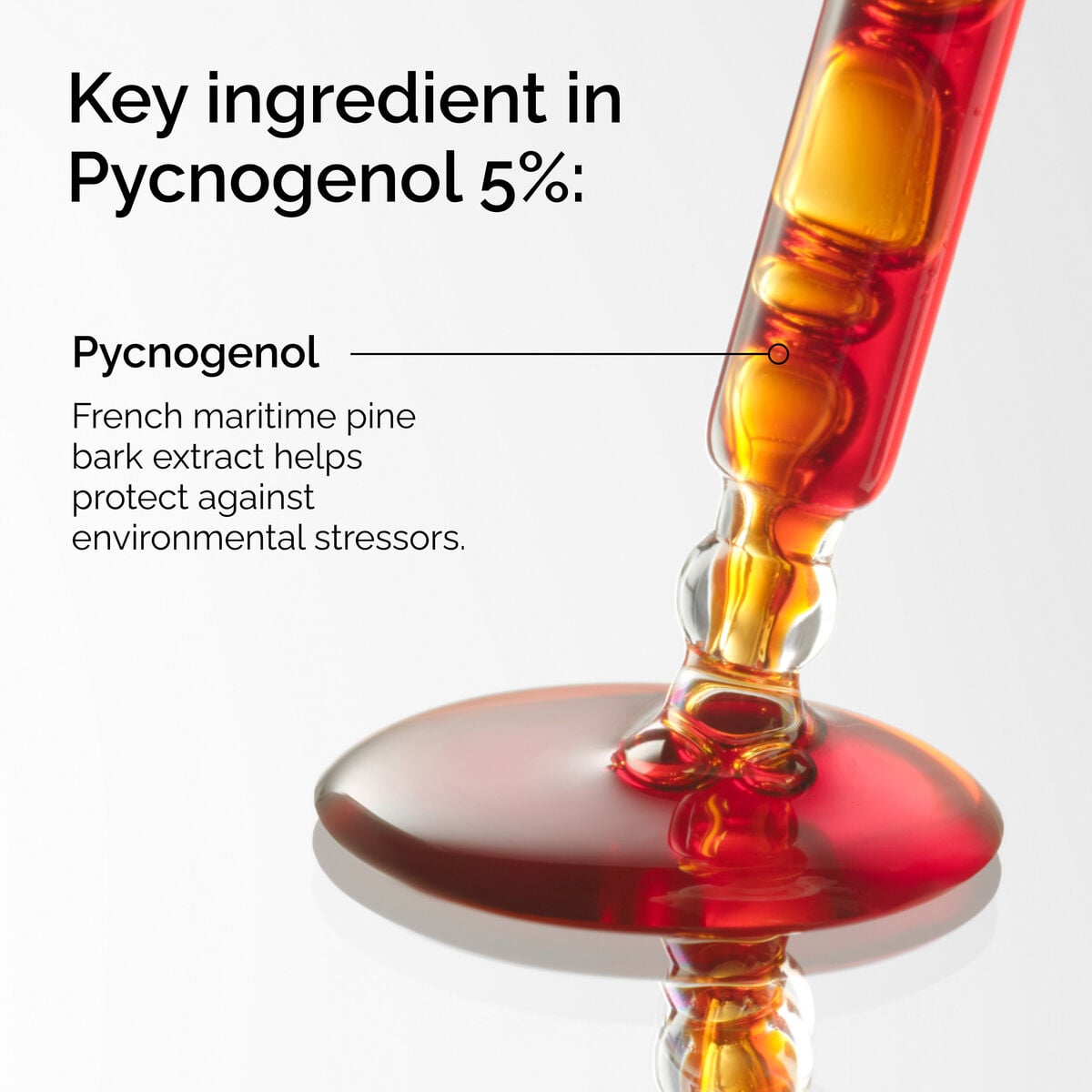 pycnogenol-5-k5 FY25-D41247-ORD-Web-PDP-Pyc-5pct-1x1-EN-2a.jpg