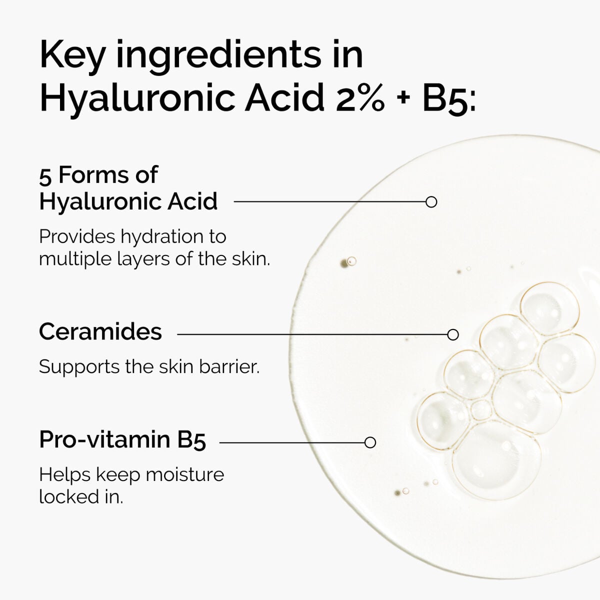 hyaluronic-acid-2-b5-with-ceramides-l0 ord-hyaluronic-acid-2pct-b5-hydrating-serum-ingredients-graphic.jpg
