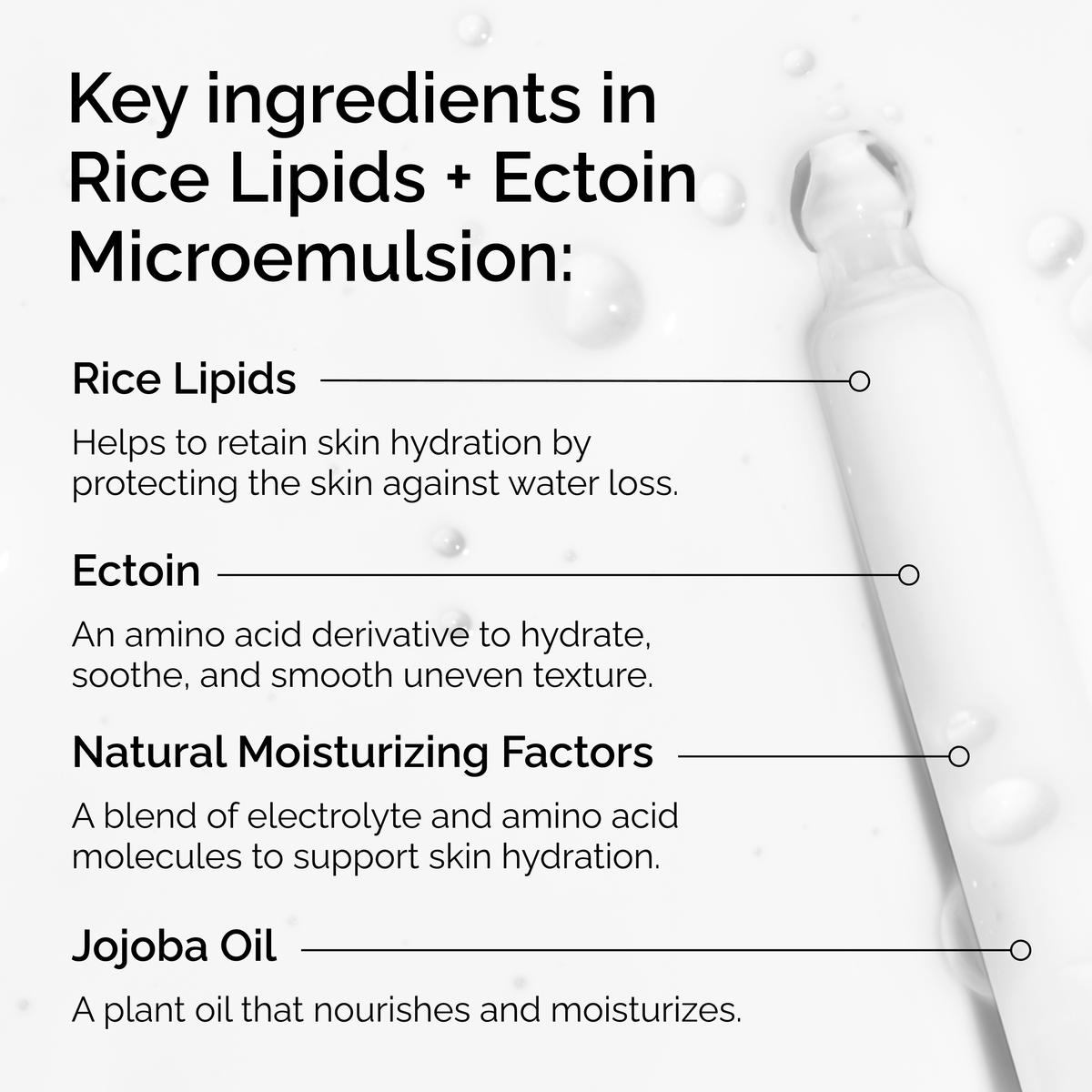 rice-lipids-ectoin-microemulsion-x7 ord-rice-lipids-ectoin-microemulsion-key-ingredients.png