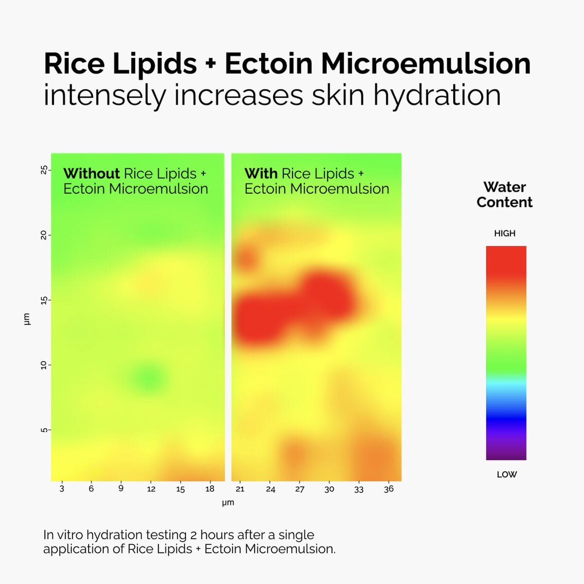 rice-lipids-ectoin-microemulsion-x7 ord-rice-lipids-ectoin-microemulsion-thermal-before-after.jpg